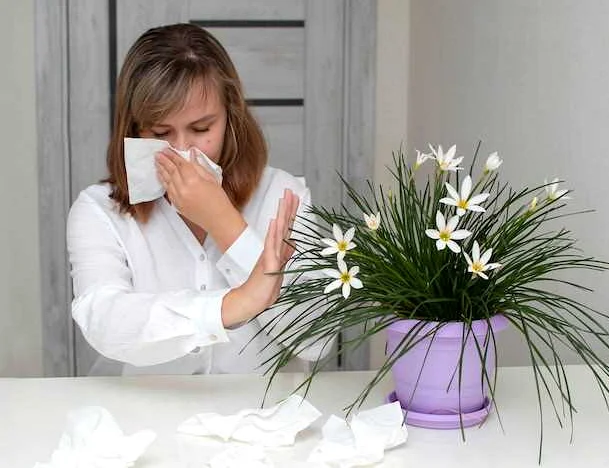Травяные чаи, которые помогут справиться с аллергией