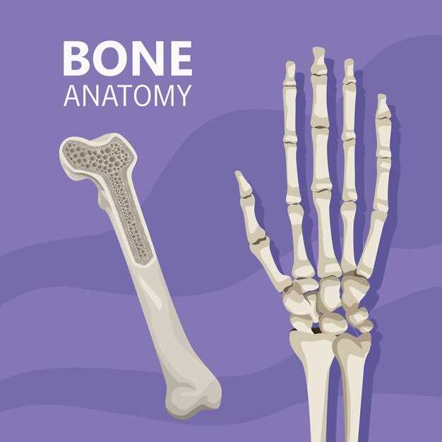 Перелом пятой пястной кости: причины и симптомы
